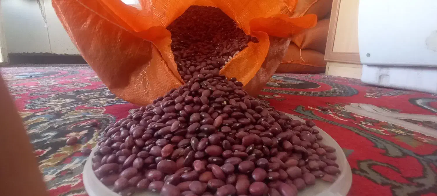 لوبیاقرمز|عمدهفروشی|بهار, |دیوار