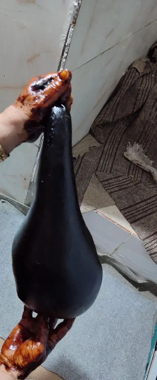 هیزه قیمت توافقی|صنایع دستی و سایر لوازم تزئینی|سرپل ذهاب, |دیوار