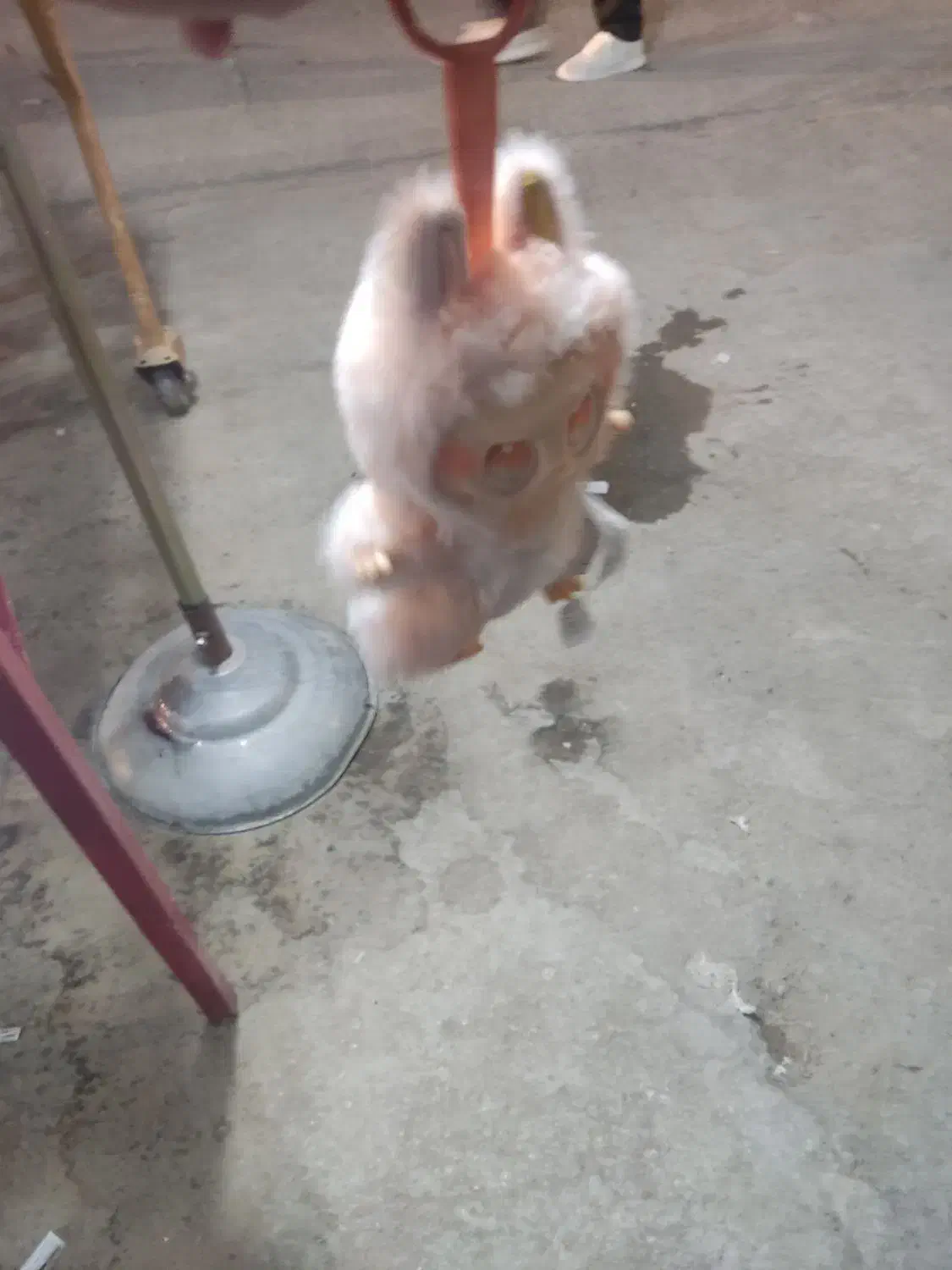 لبوبو مارک انرژی فروش فوری|اسباب‌بازی بچه|دهدشت, |دیوار