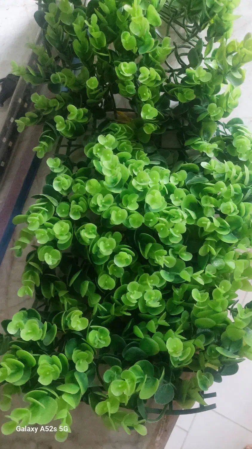 تصفیه اب،اکسیژن. مهتابی وسبزه|ماهی|مشهد, ایثارگران|دیوار