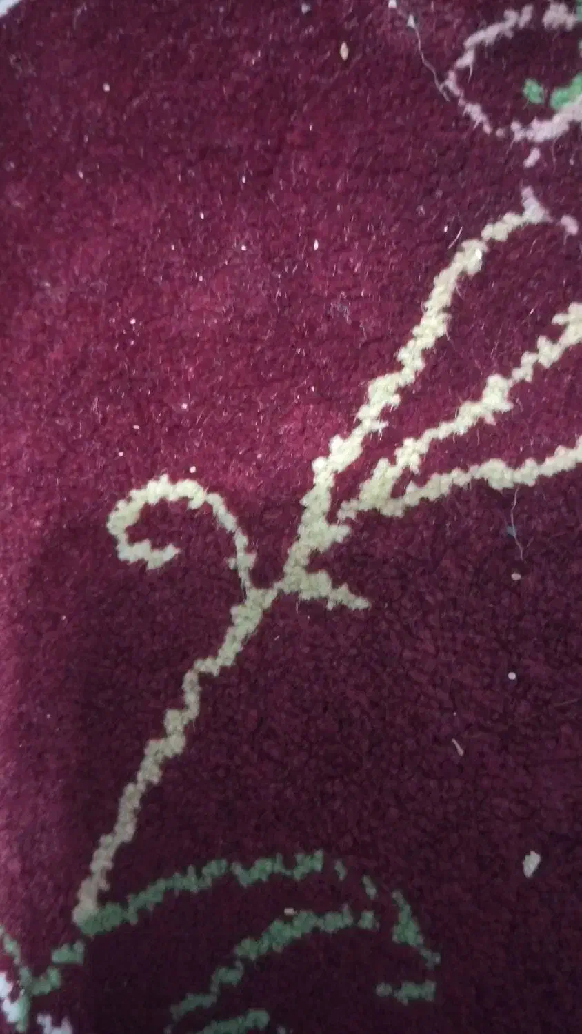 دنبال کارم هستم|خدمات پیشه و مهارت|بیرجند, |دیوار