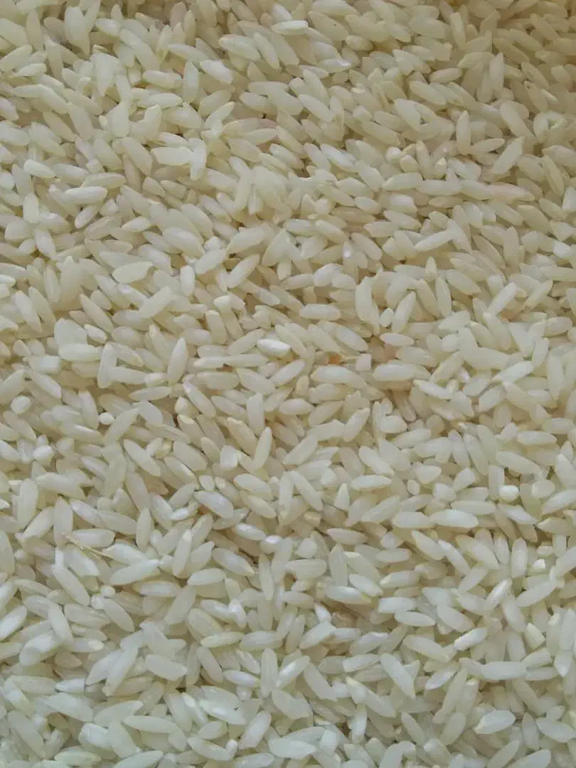 برنج کامفیروزی اصل برداشت امسال|خوردنی و آشامیدنی|شیراز, جمال آباد|دیوار