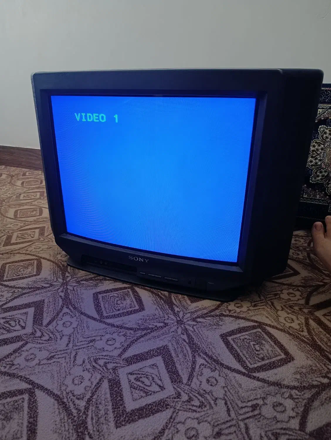 تلویزیون ۲۹ اینچ|تلویزیون و پروژکتور|قائم‌شهر, |دیوار