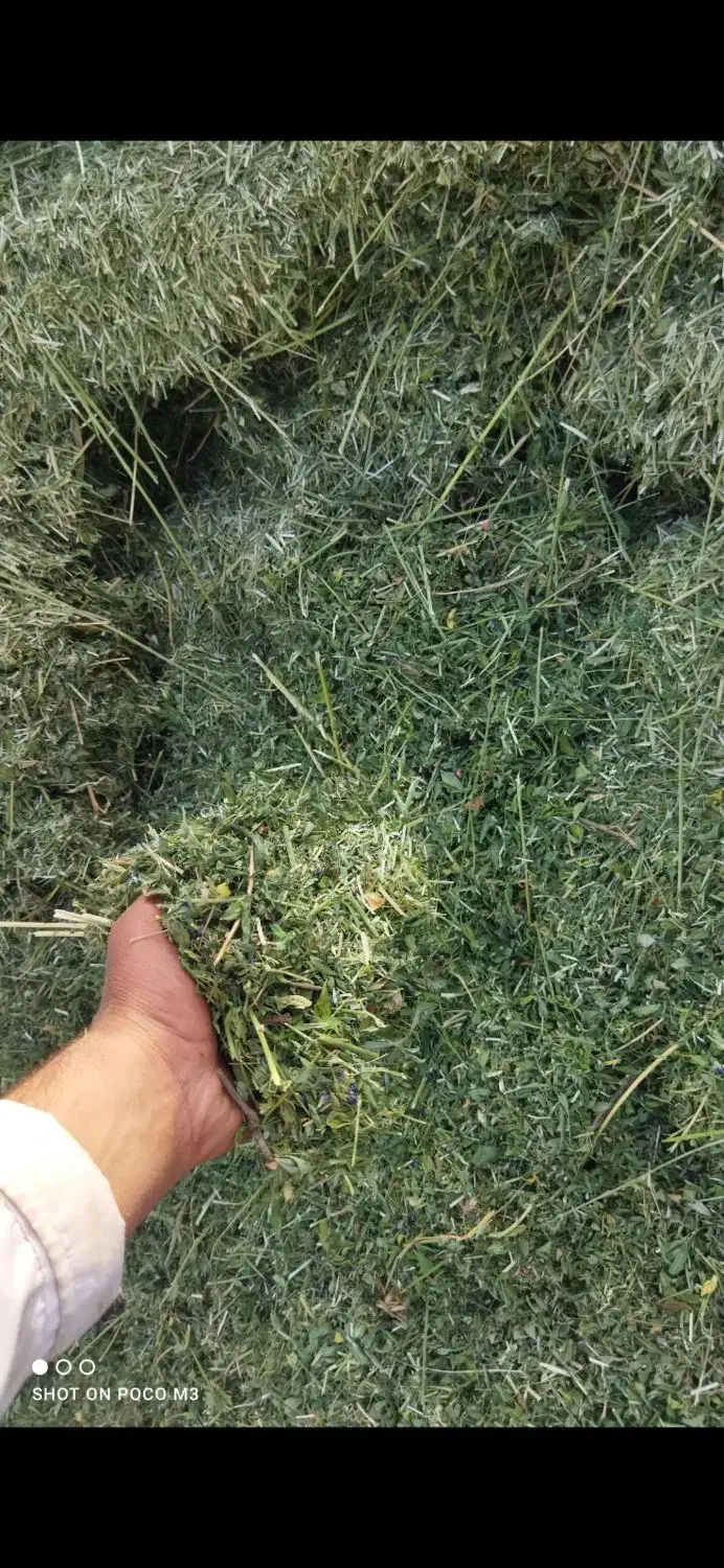 یونجه چین چهار|عمده‌فروشی|بروجرد, |دیوار