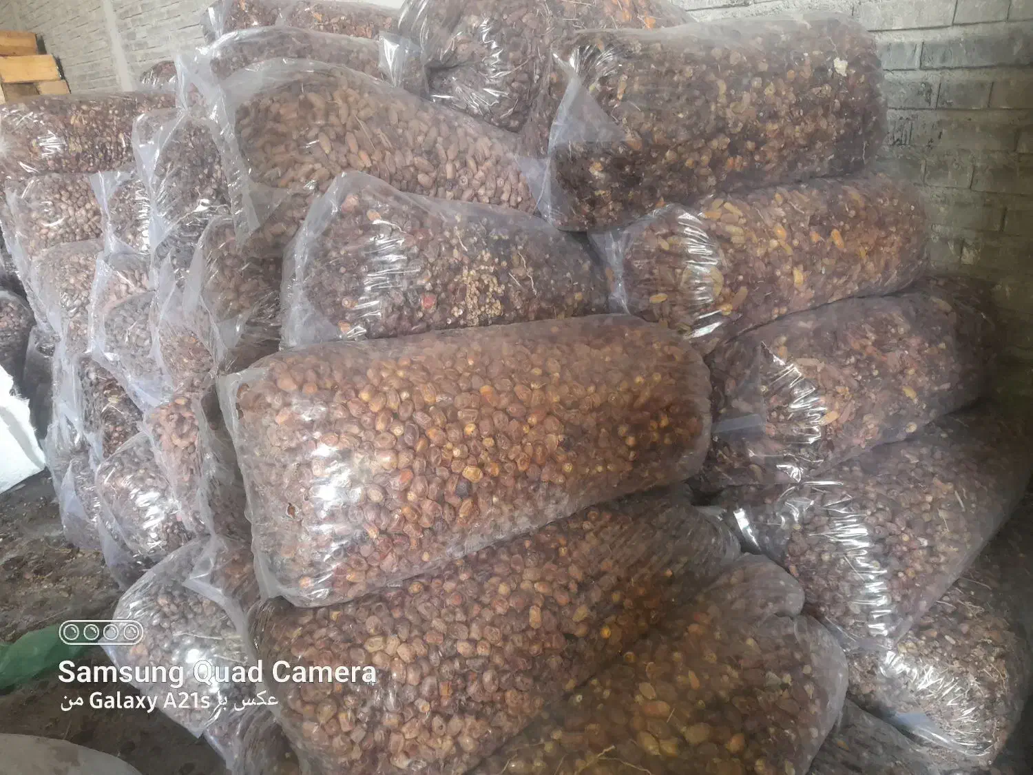 خرما انواع صنعتی ش|عمدهفروشی|کارون, |دیوار