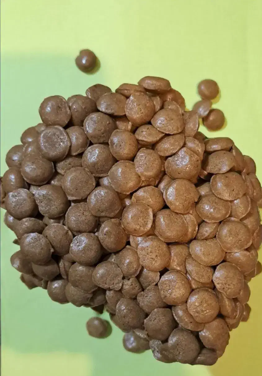 عسل و ژل رویاا|خوردنی و آشامیدنی|دیلم, |دیوار