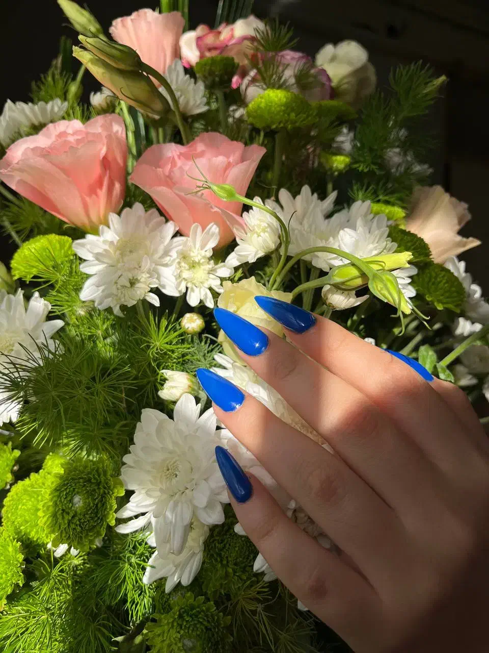 مدل کاشت و بافت مو|خدمات آرایشگری و زیبایی|قزوین, |دیوار