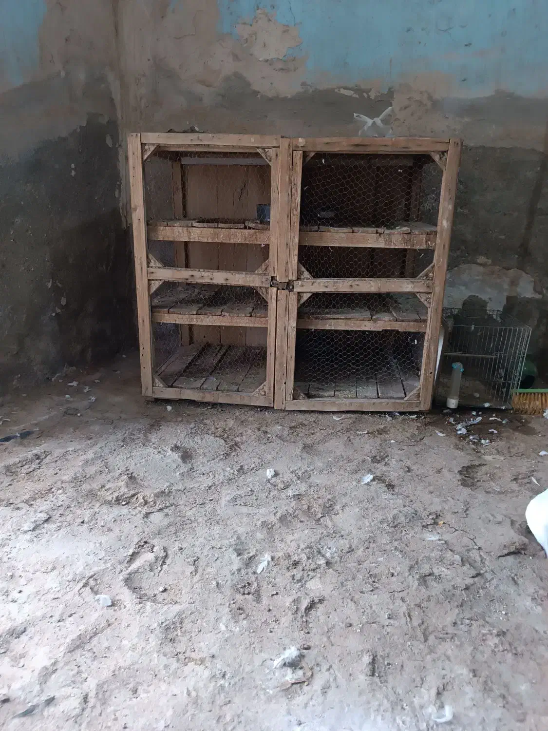 قفس کفتر|لوازم جانبی حیوانات|قم, نخودی|دیوار