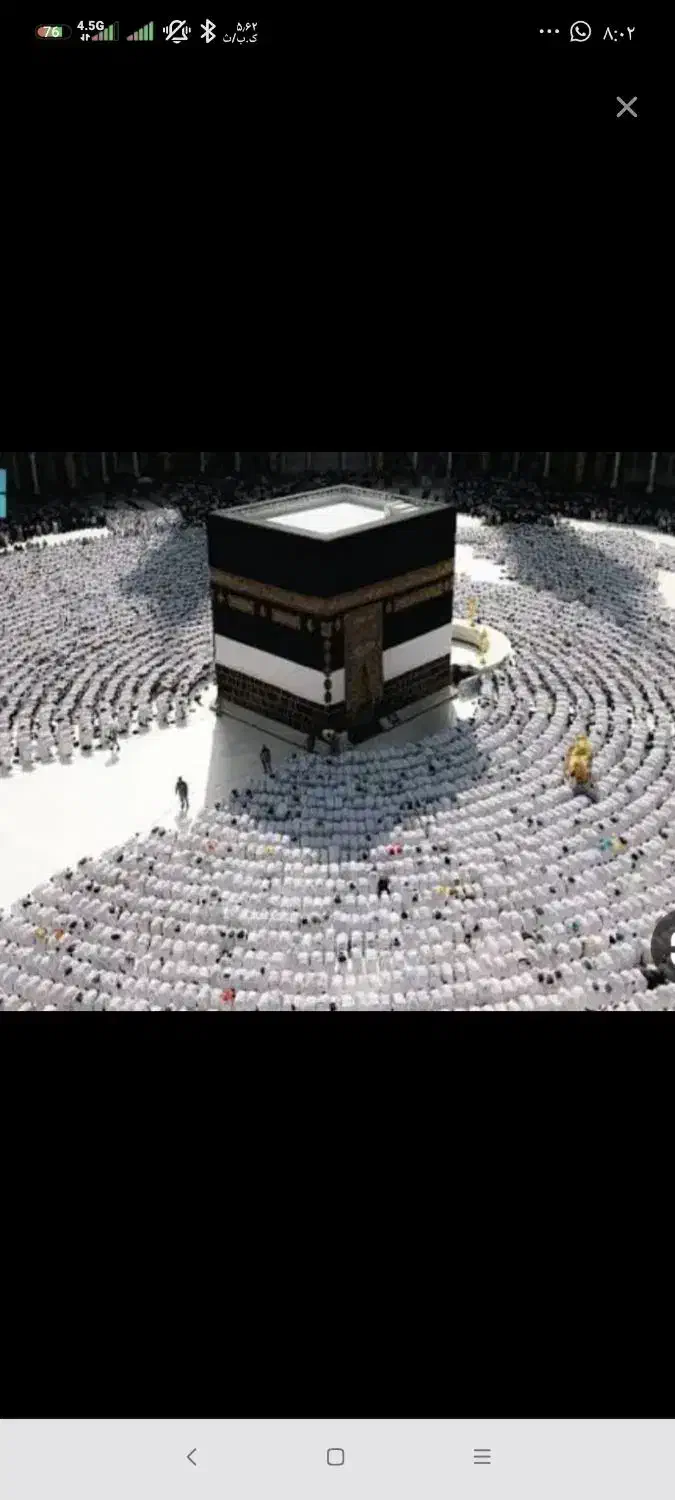 فروش فیش حج|تور و چارتر|سیرجان, |دیوار