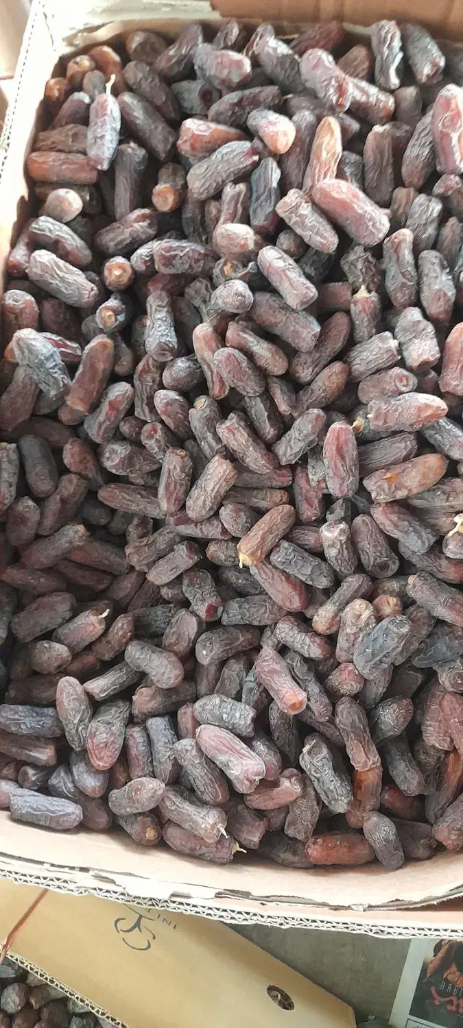 فروش خرمای پیارم|خوردنی و آشامیدنی|قصرشیرین, |دیوار