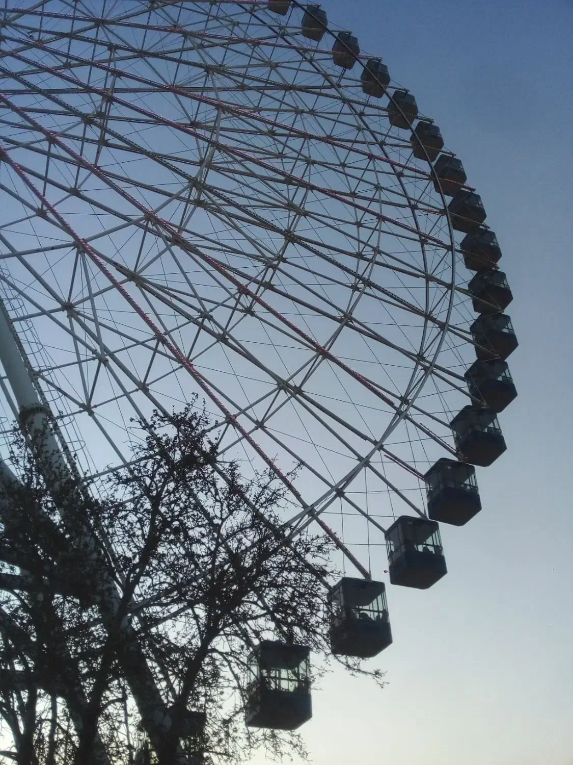 جویای کار|فعالیت داوطلبانه|قائمشهر, |دیوار