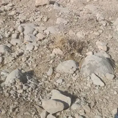 زمین فروشی|فروش زمین و ملک کلنگی|ایرانشهر, |دیوار