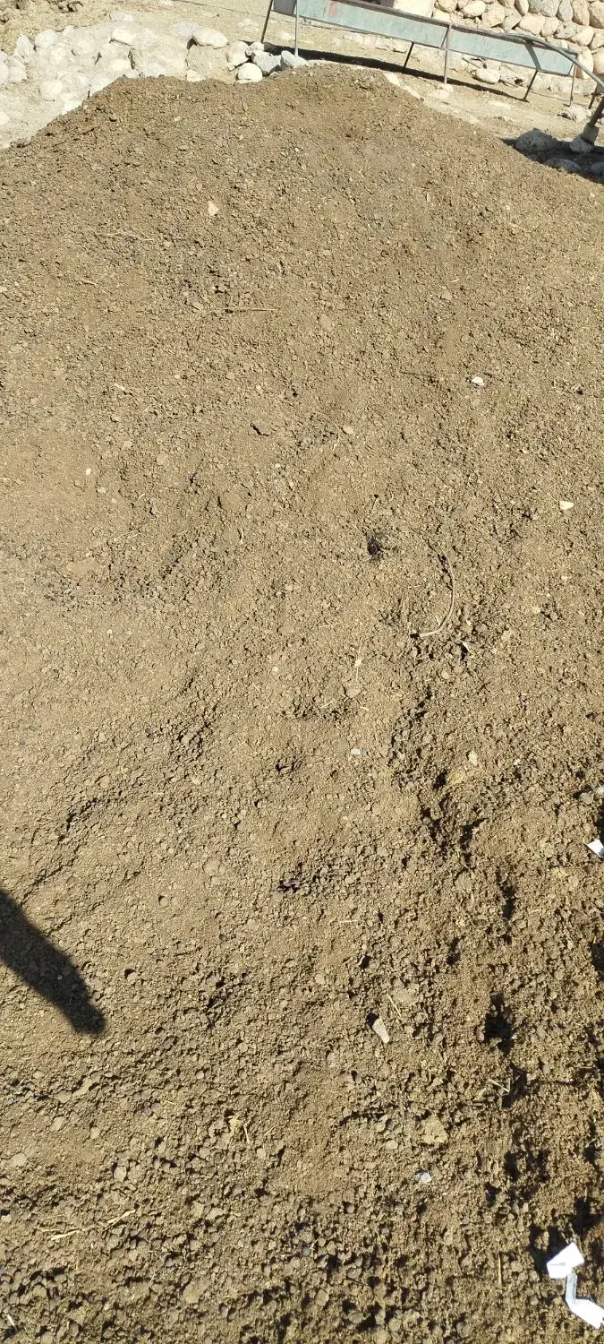 ارسال کوت حیوانی به سراسرکشور|خدمات باغبانی و درختکاری|زاغه, |دیوار