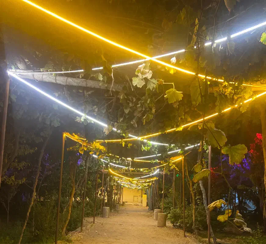 اجاره باغ|خدمات پذیرایی، مراسم|بردسیر, |دیوار