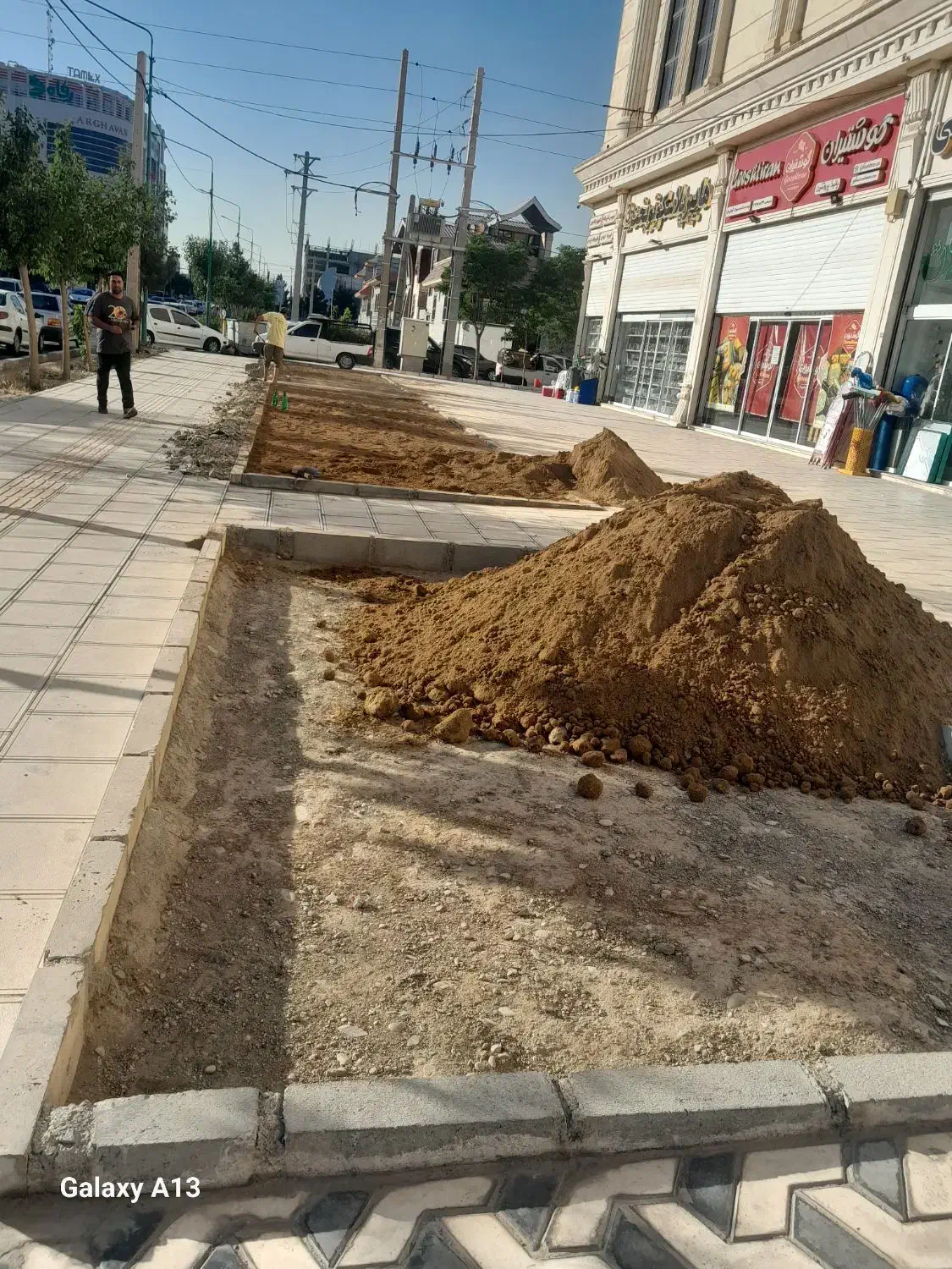 باغبانی ودرخت کاری جلال دلبری|خدمات باغبانی و درختکاری|تهران, سبلان (لشگر)|دیوار