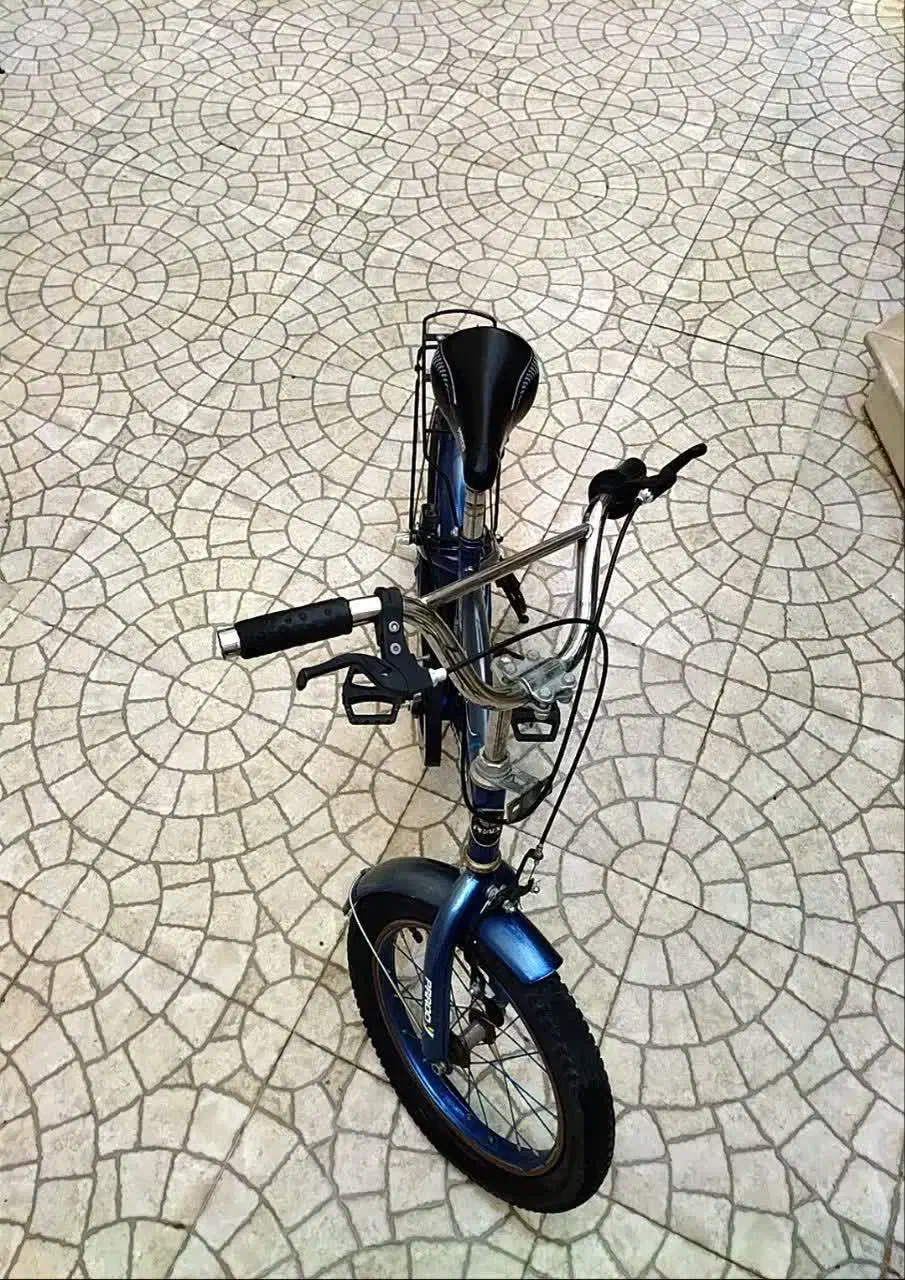 دوعدد دوچرخه شماره ۱۶ پرادو. ۲۰ المپیا درحدنو|دوچرخه، اسکیت، اسکوتر|کاشان, دانش|دیوار