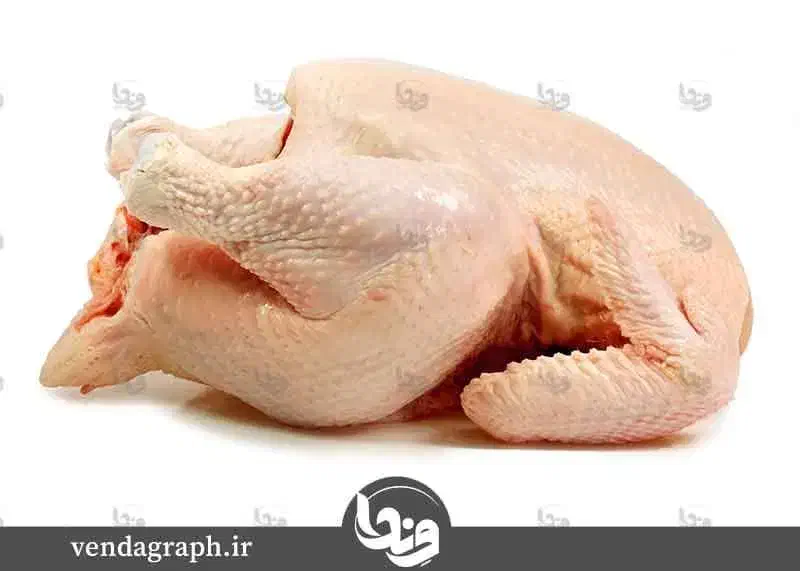 خوراک سگ و گربه و حیوانات|لوازم جانبی حیوانات|قزوین, |دیوار