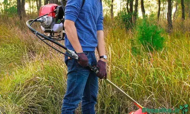 شخم زنی باغ ورزقان|خدمات باغبانی و درختکاری|ورزقان, |دیوار