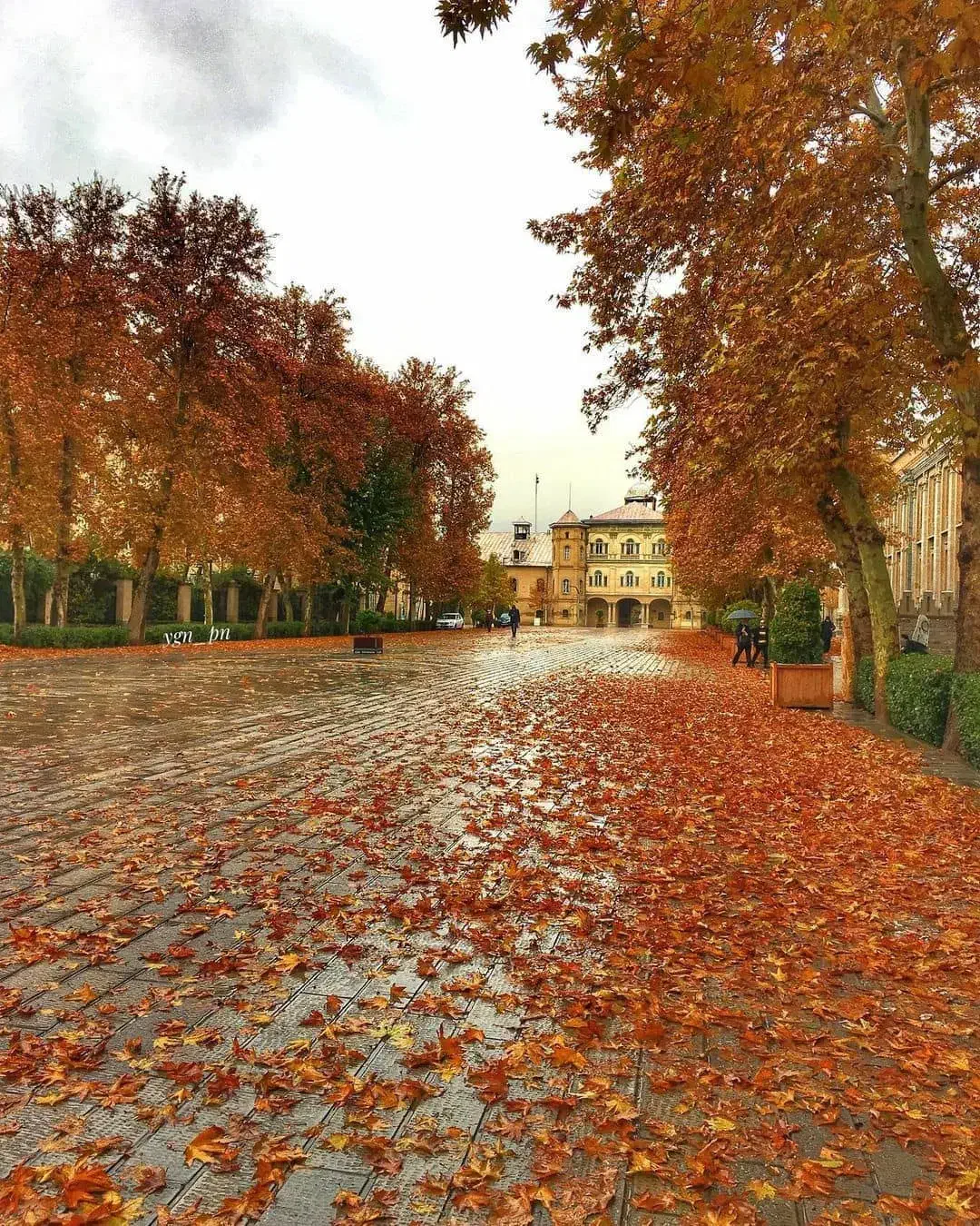 گمشده|اشیا|اسلامآباد غرب, |دیوار