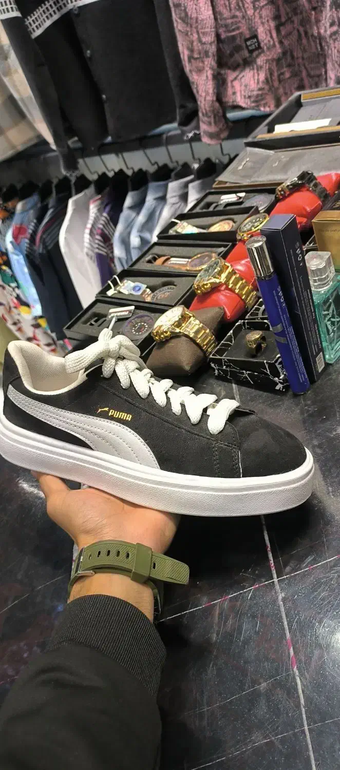 کفش|کیف، کفش، کمربند|شاندیز, |دیوار