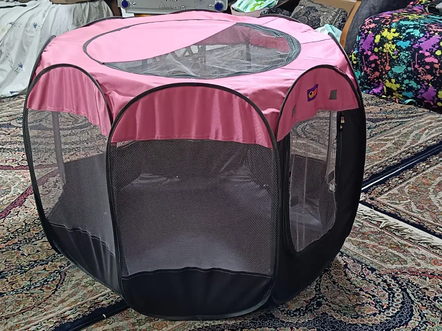 پارک سگ|لوازم جانبی حیوانات|شهریار, شهرک وائین|دیوار