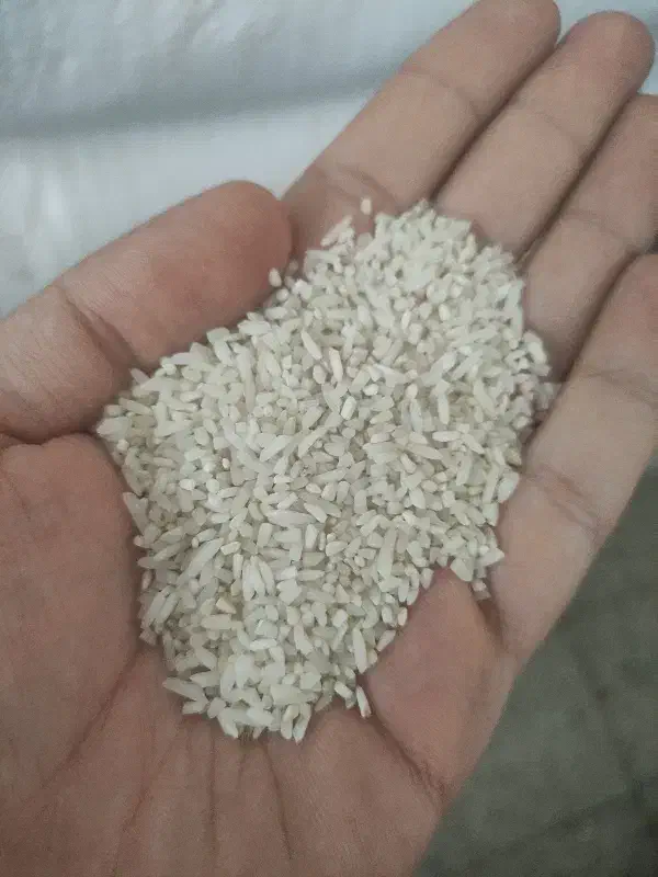 برنج سرلاشه محلی دورود عطری|خوردنی و آشامیدنی|بروجرد, |دیوار