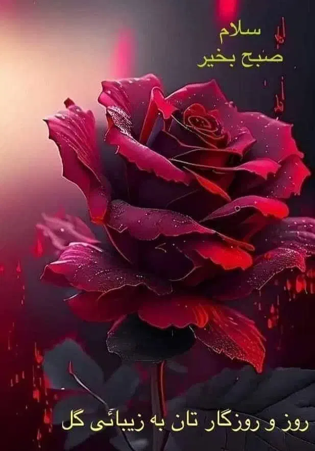 همخونه میشم|اجارهٔ آپارتمان|شیراز, دباغ خانه|دیوار