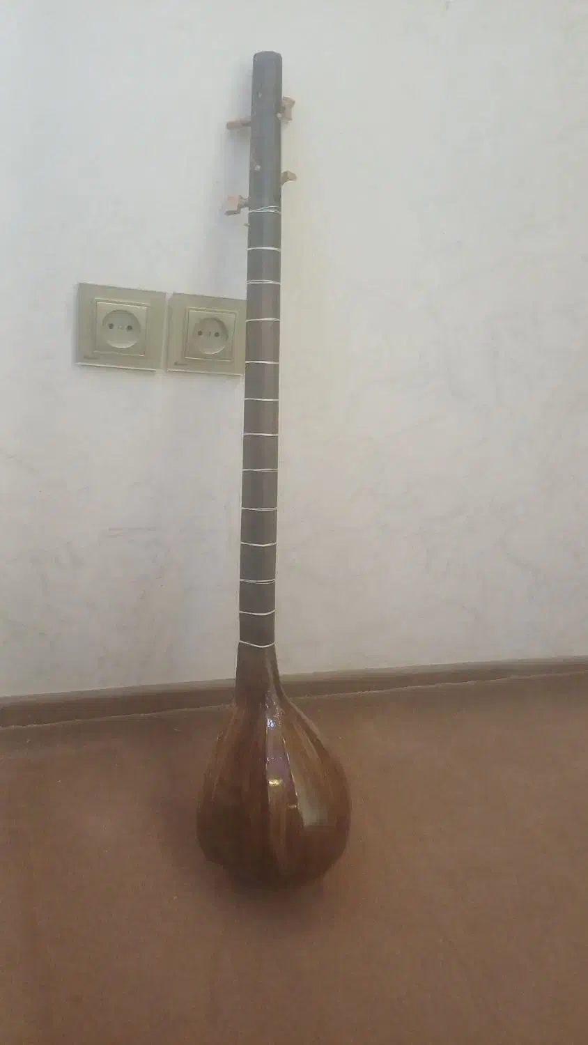 ستار|سازهای سنتی|شیراز, رکن‌آباد|دیوار