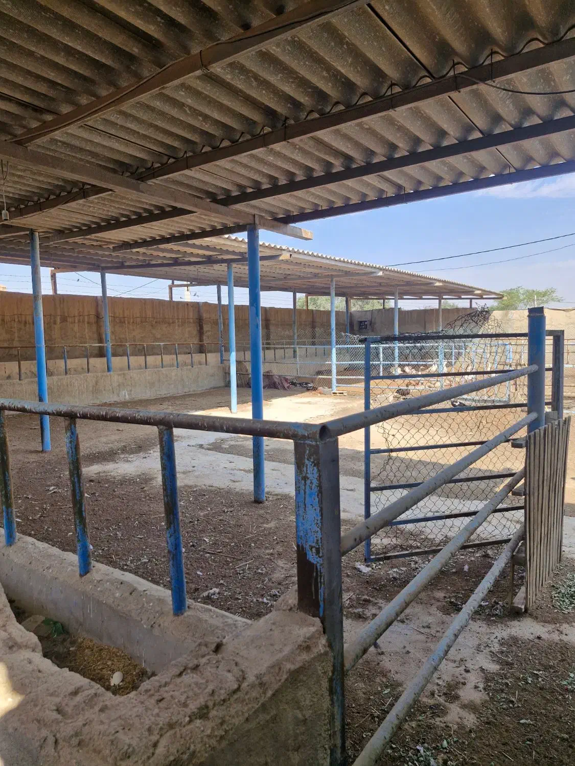 اجاره دامداری صنعتی ۱۷۰۰ متری|اجارهٔ دفتر صنعتی، کشاورزی، تجاری|اهواز, بیست متری شهرداری|دیوار