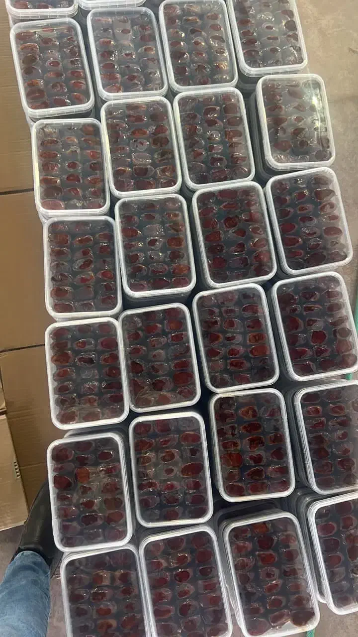 پخش وعرضه انواع خرمادرجه یک .باتضمین قیمت وکیفیت|خوردنی و آشامیدنی|رشت, آب و برق|دیوار