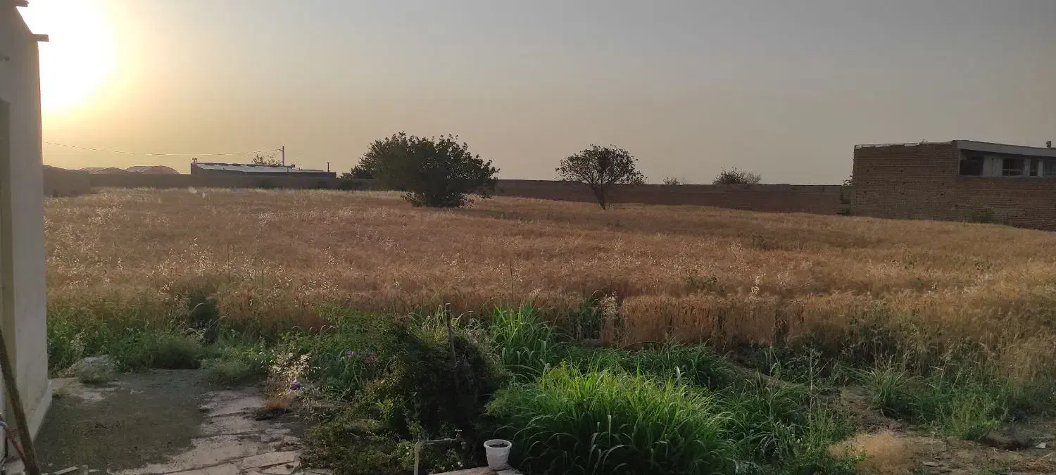 فروش زمین کارگاهی در بادرود|فروش مغازه و غرفه|بادرود, |دیوار