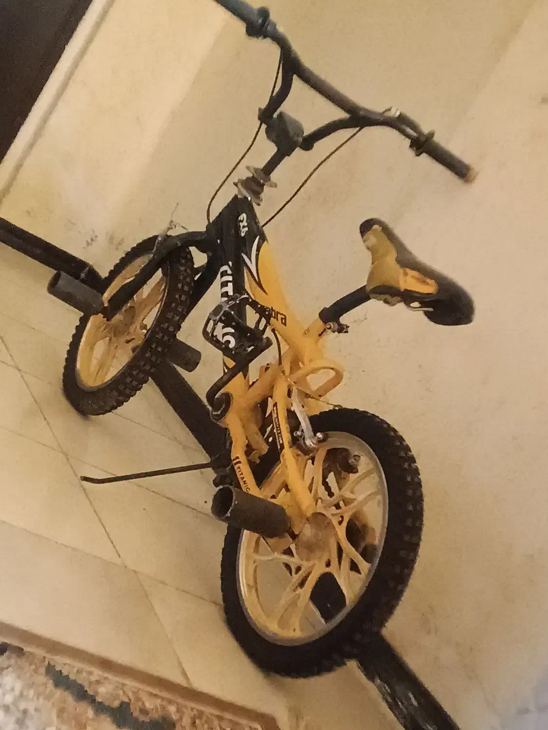 دوچرخخ 16|دوچرخه، اسکیت، اسکوتر|صدرا-فارس, فاز ۲|دیوار