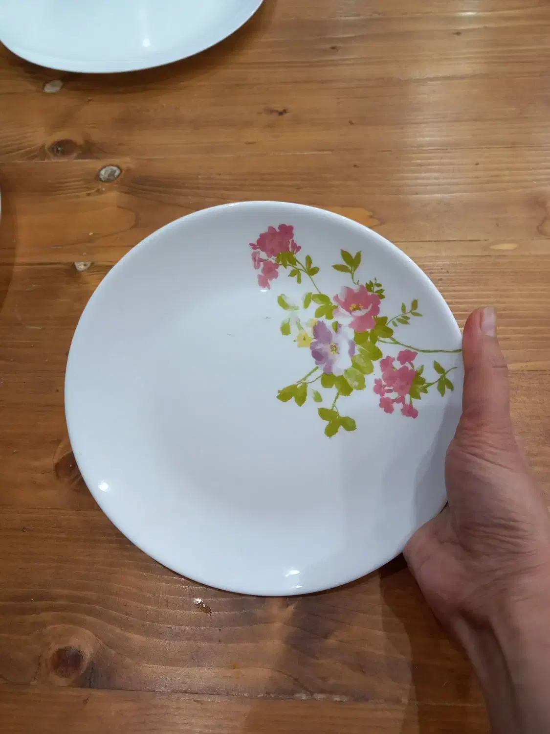 ظروف آرکوپال|ظروف سرو و پذیرایی|نور, |دیوار