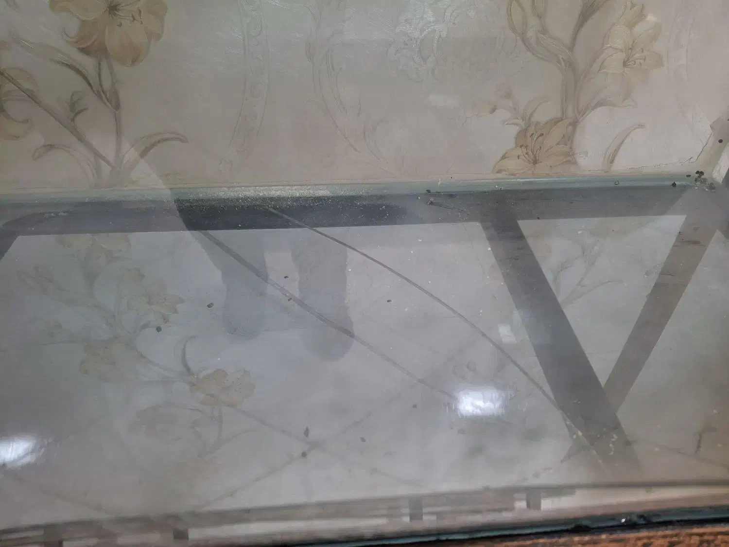 آکواریوم بزرگ با همه تجهیزات وفرفورژه|ماهی|مشهد, عبادی|دیوار