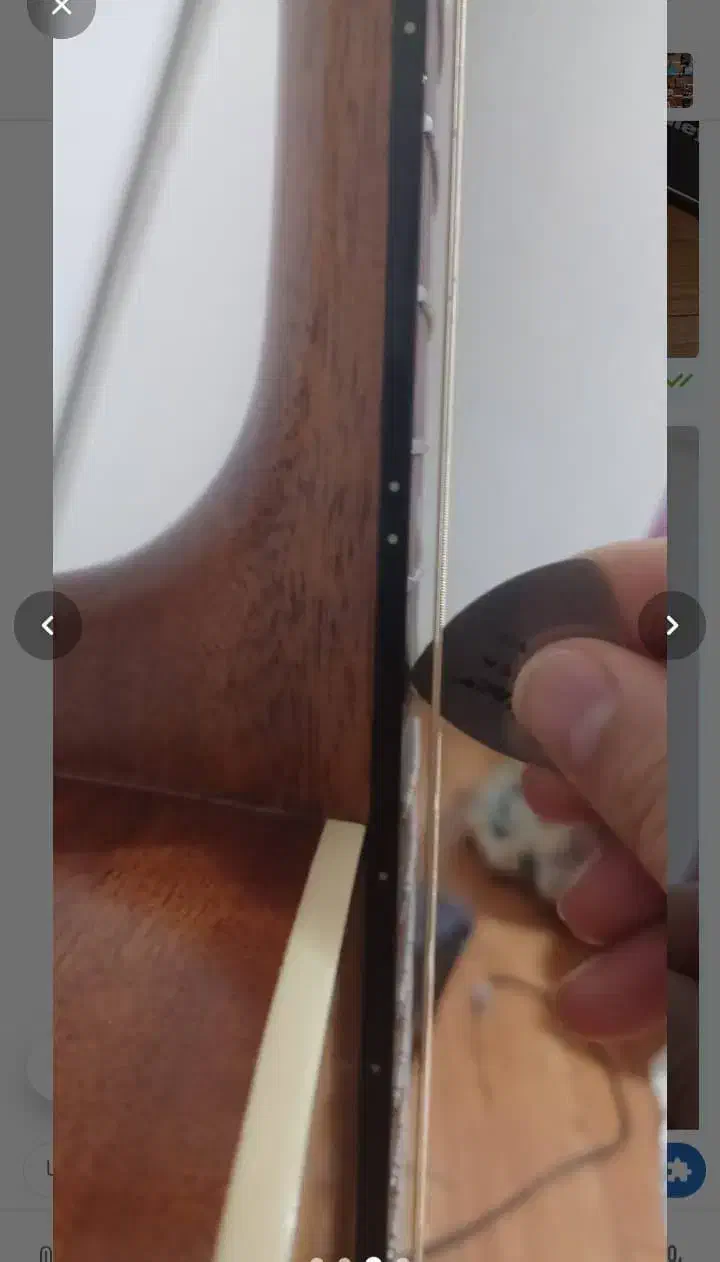 گیتار 12 سیم zinn & cort|گیتار، بیس، امپلیفایر|تهران, اکباتان|دیوار