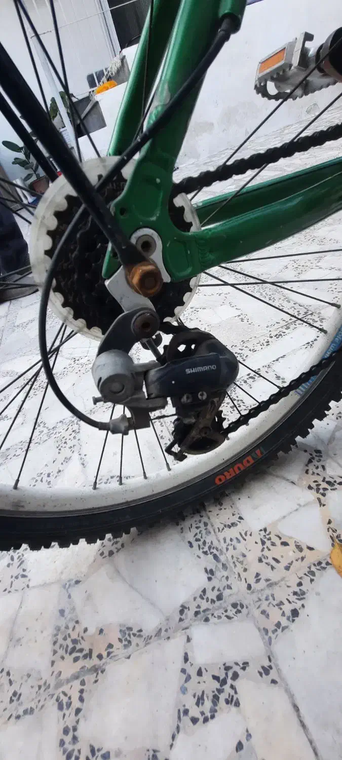 دوچرخه ی فلش با کمک های حرفه ای|دوچرخه، اسکیت، اسکوتر|لنگرود, |دیوار