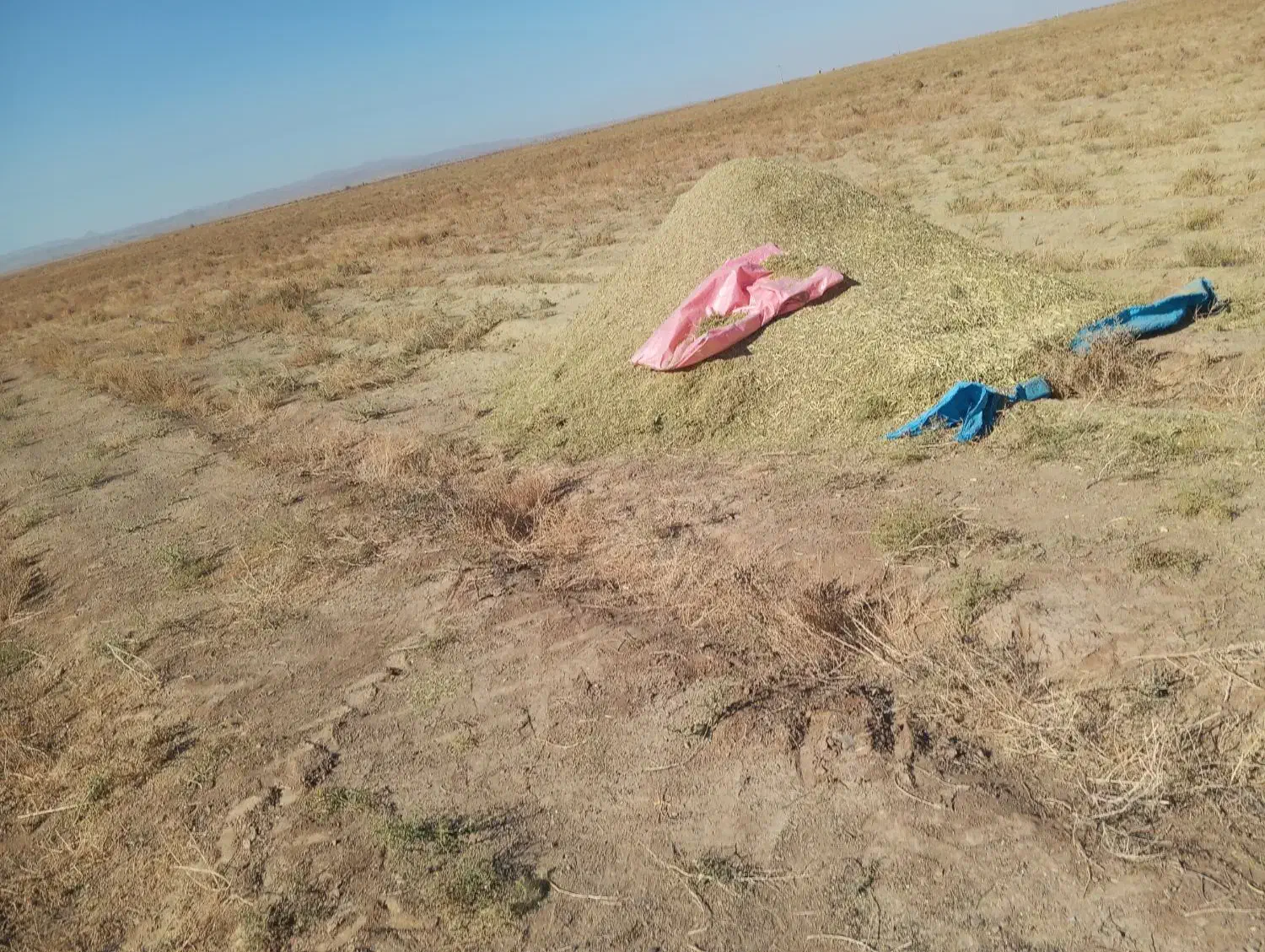 کاه خار شتر فروش|لوازم جانبی حیوانات|نیشابور, مازول|دیوار