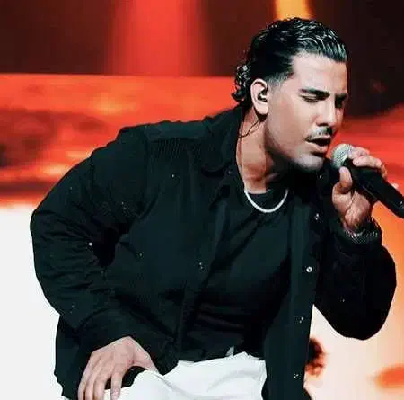 کنسرت مجید رضوی vip|بلیت کنسرت|مشهد, جاهد شهر|دیوار