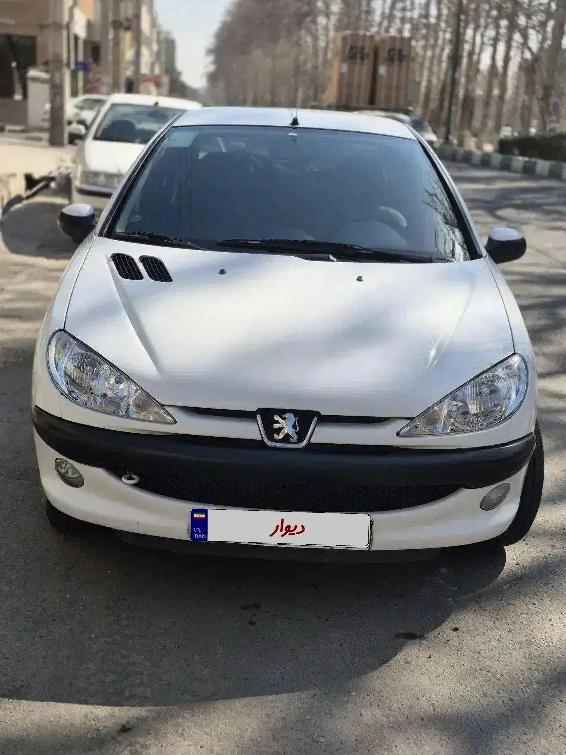 206 SD v8|خودرو سواری و وانت|محمدشهر, محمدشهر|دیوار