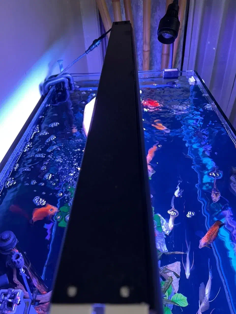 لامپ تخصصی آکواریوم مهتابی|ماهی|تهران, دارآباد|دیوار