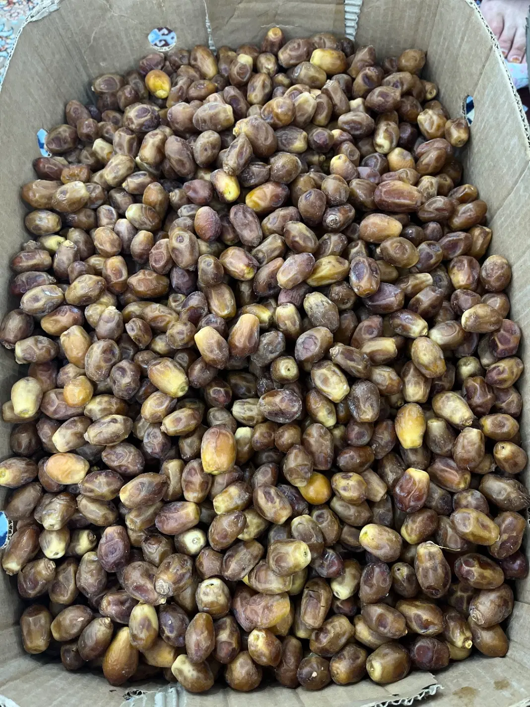 زاهدی|عمده‌فروشی|آبپخش, |دیوار