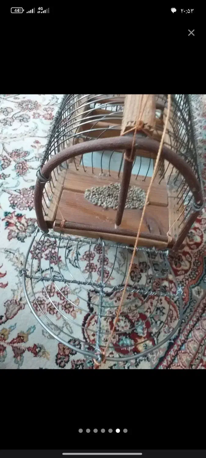 قفس شکاری|لوازم جانبی حیوانات|سنندج, |دیوار