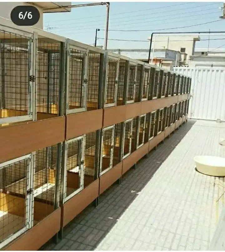 ساخت قفس گالوانیزه (سفارشی)|لوازم جانبی حیوانات|گنبد کاووس, |دیوار