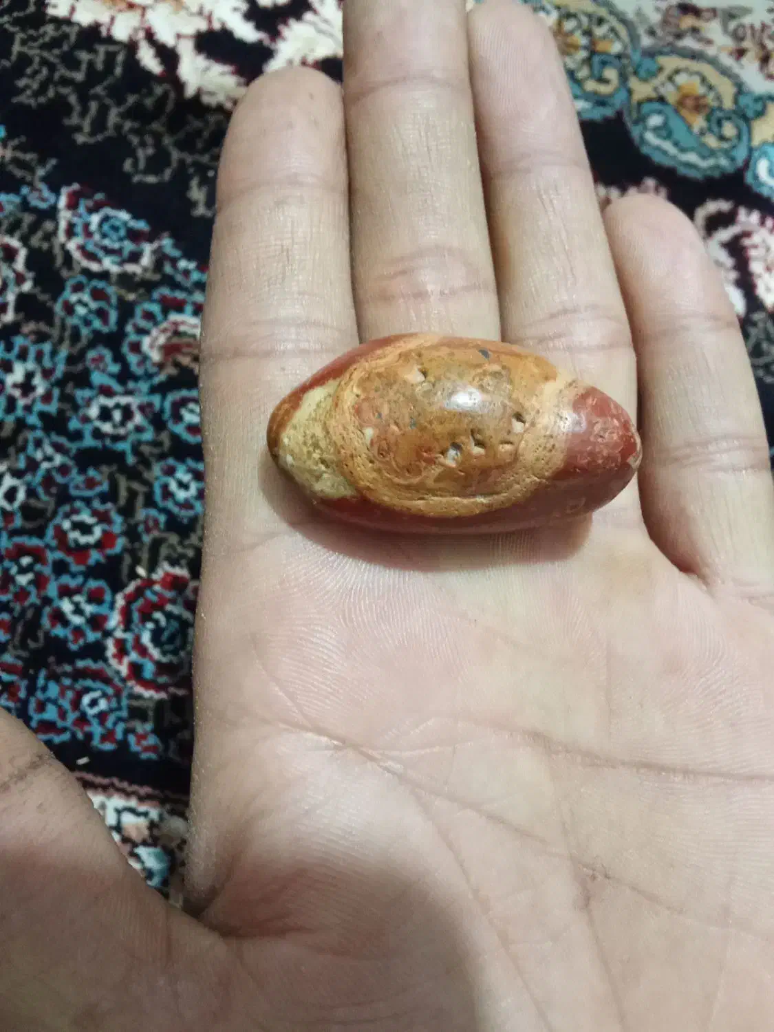 سنگ قیمتی|کلکسیون اشیاء عتیقه|تربتحیدریه, پائین ولایت|دیوار