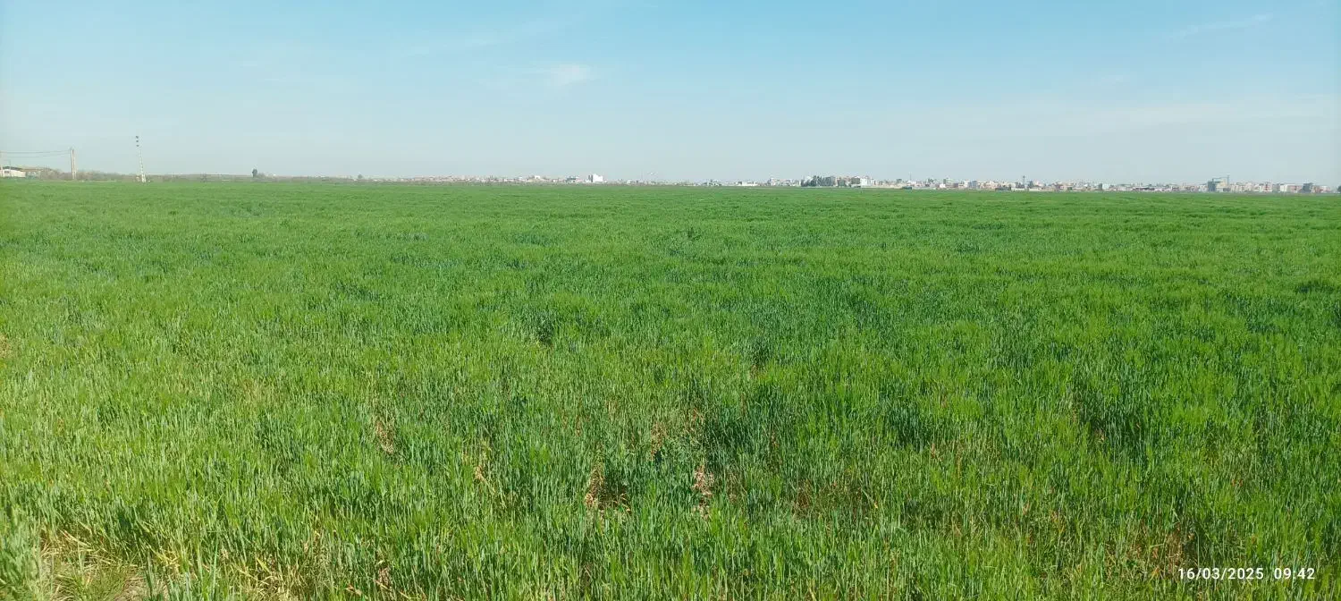 زمین کشاورزی|فروش دفتر صنعتی، کشاورزی، تجاری|سنگدوین, |دیوار