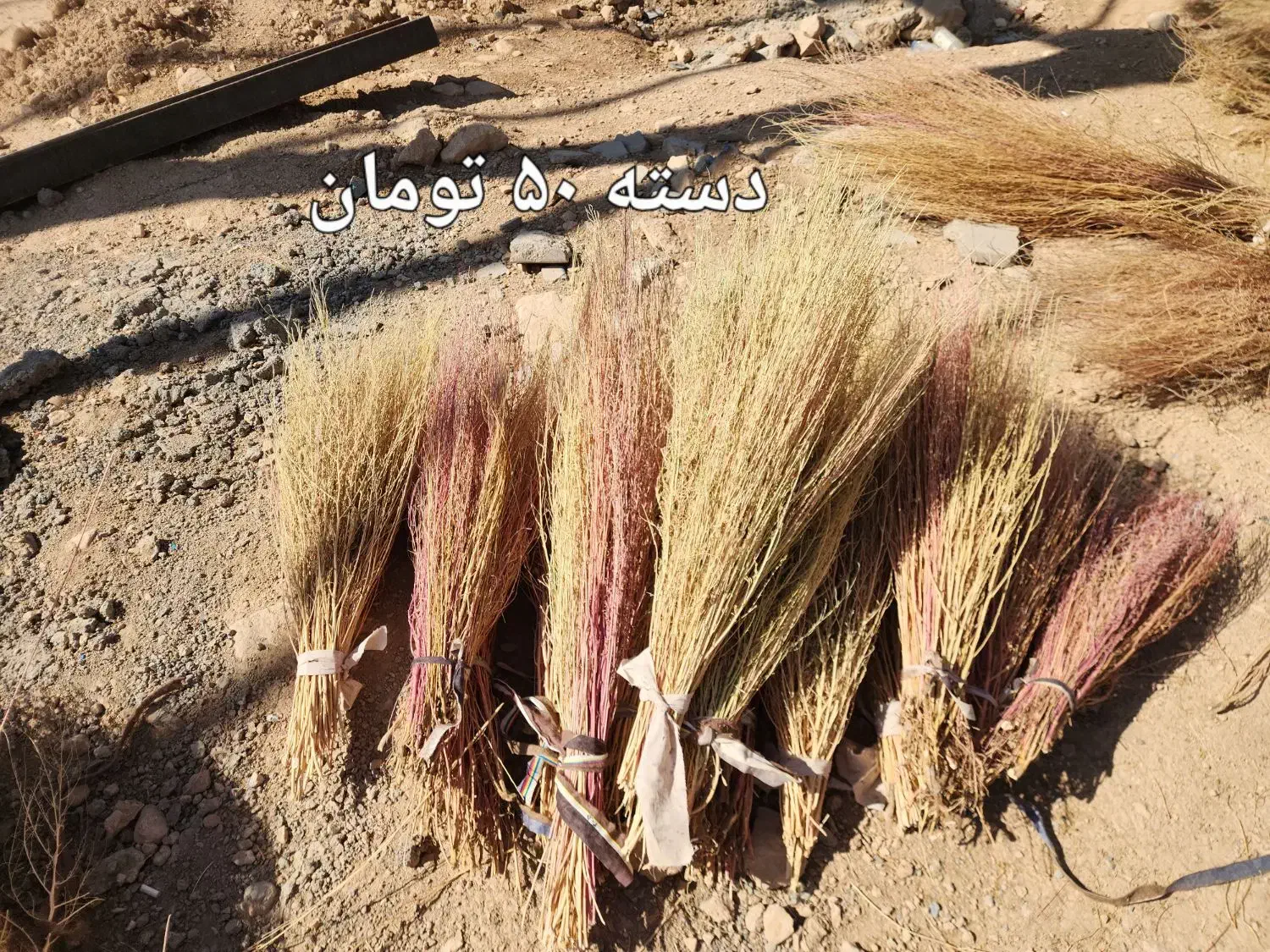 جارو باغی دستی|لوازم نظافت|لردگان, |دیوار