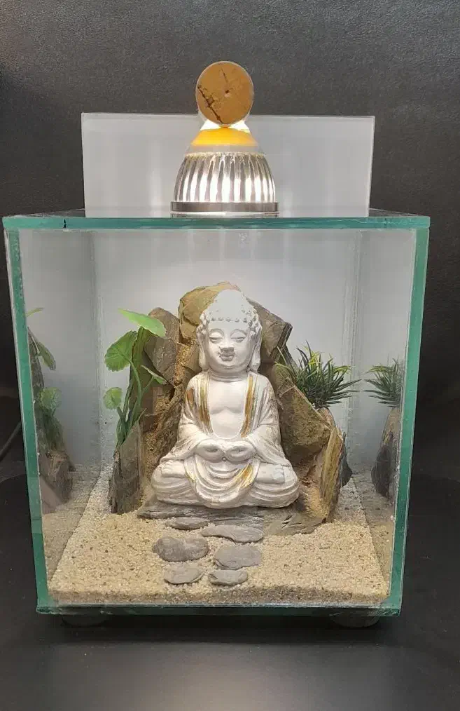 آکواریوم فایتر|ماهی|تهران, توحید|دیوار