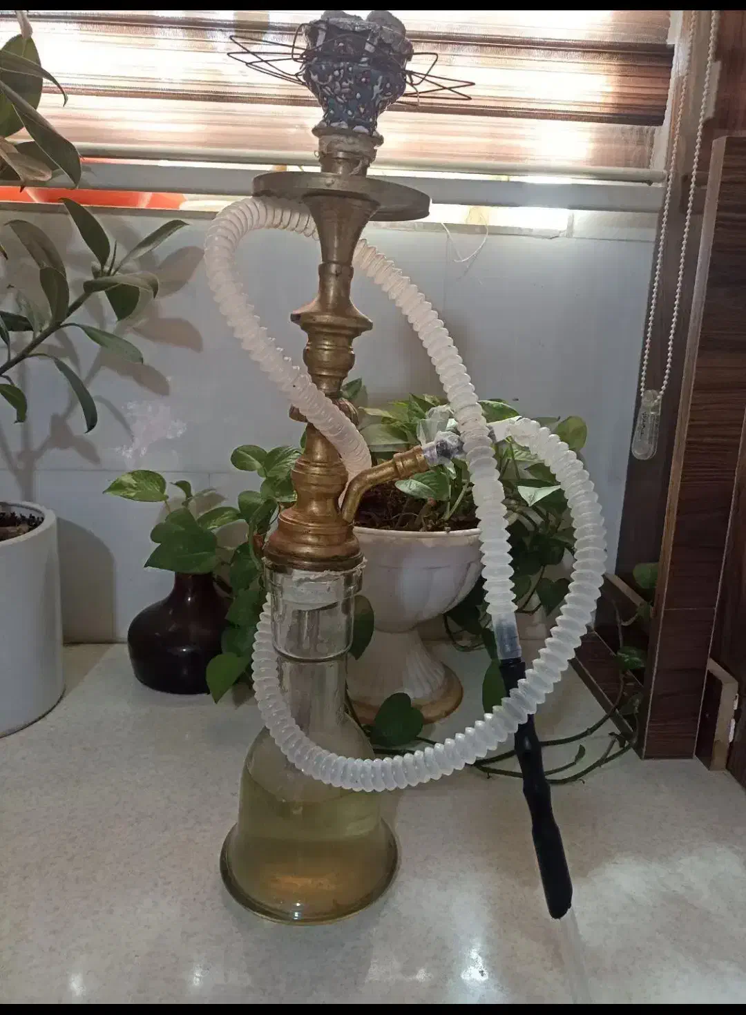 قلیون|کلکسیون و سرگرمی|کرمان, |دیوار