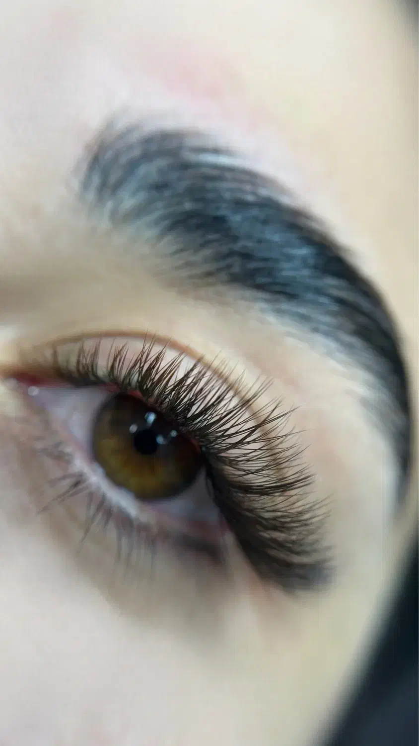 آموزش کامل اکستنشن مژه مشهد|خدمات آموزشی|مشهد, تربیت (صدف)|دیوار