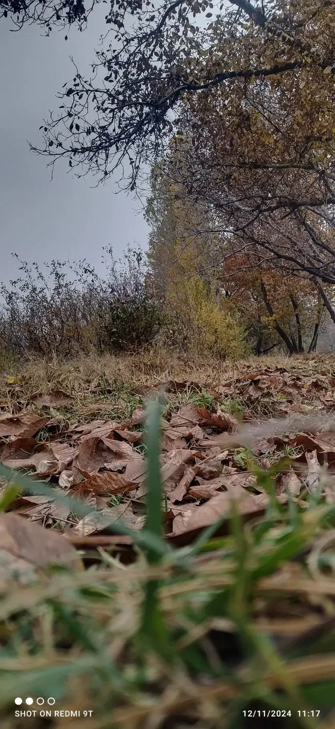 باغچه به متراژ ۲۰۰۰ متر نزدیک آلمان آباد|فروش دفتر صنعتی، کشاورزی، تجاری|ارومیه, |دیوار